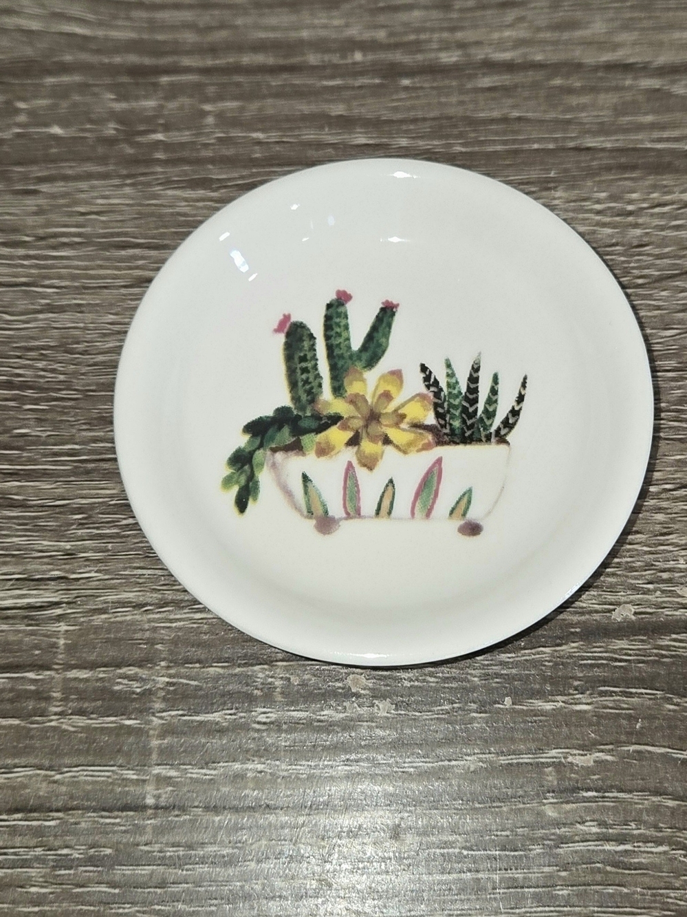 Replacement Sauce Plate Cactus Creative Co-Op by Lori Siebert 3"